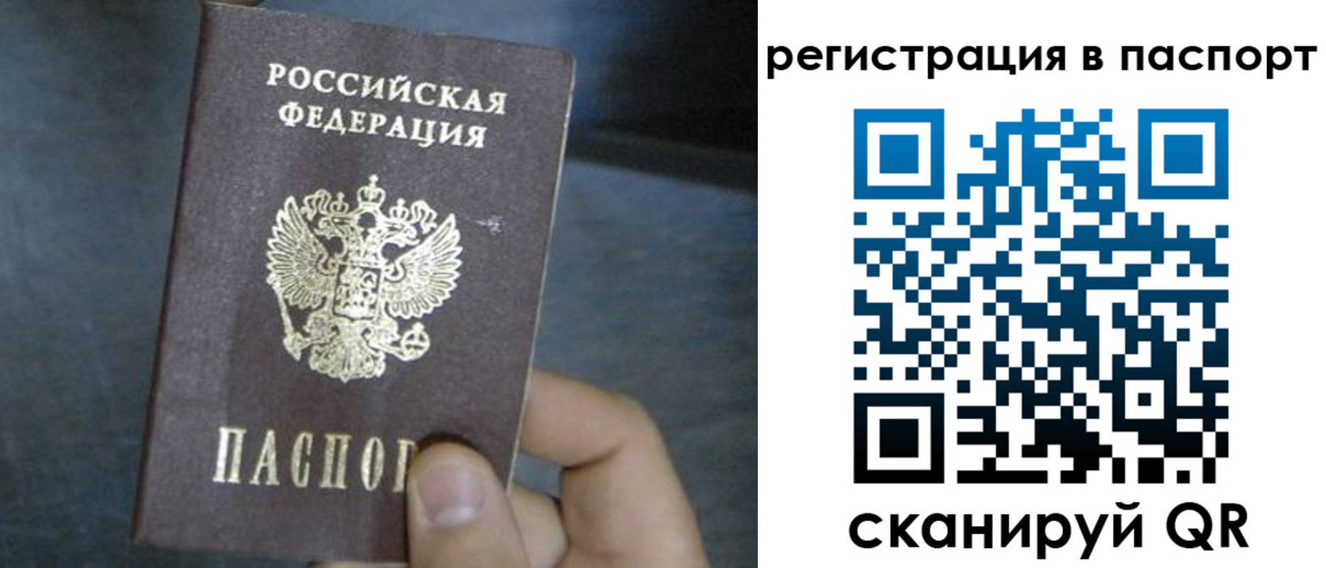 прописка 2025 в Калужской области